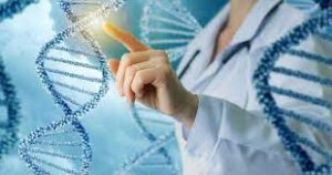 đột biến gen brca