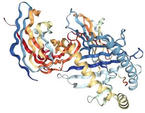 Xét nghiệm Beta-2-microglobulin là gì? Ý nghĩa xét nghiệm